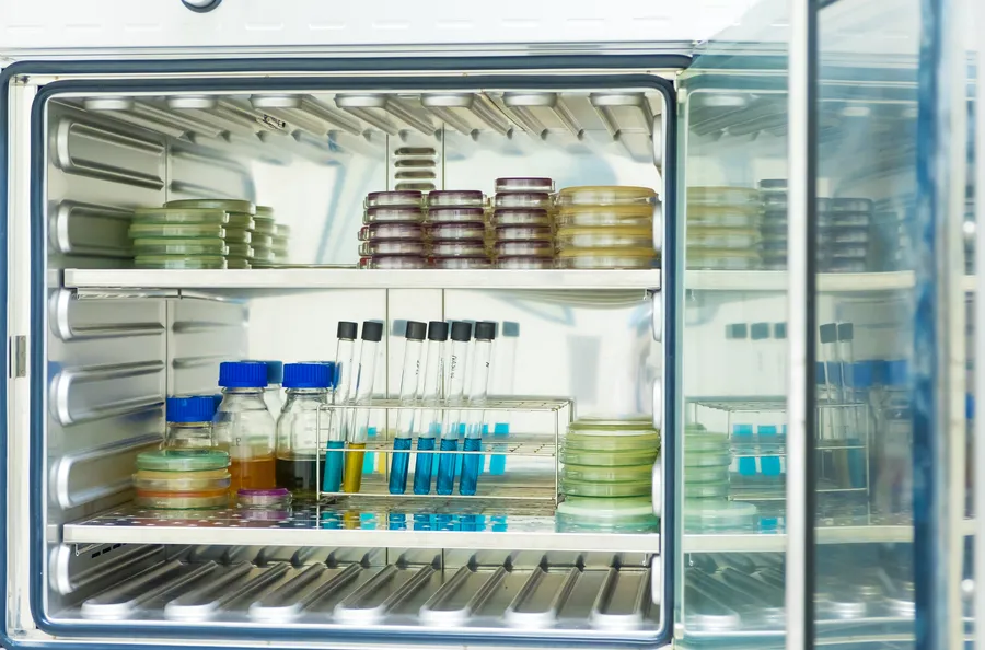 Laboratory incubator holding culture plates and samples